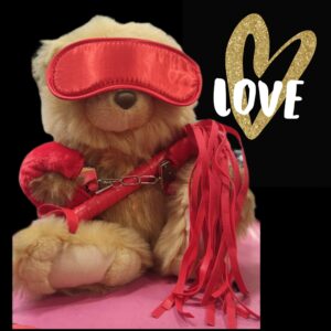 BDSM Teddy