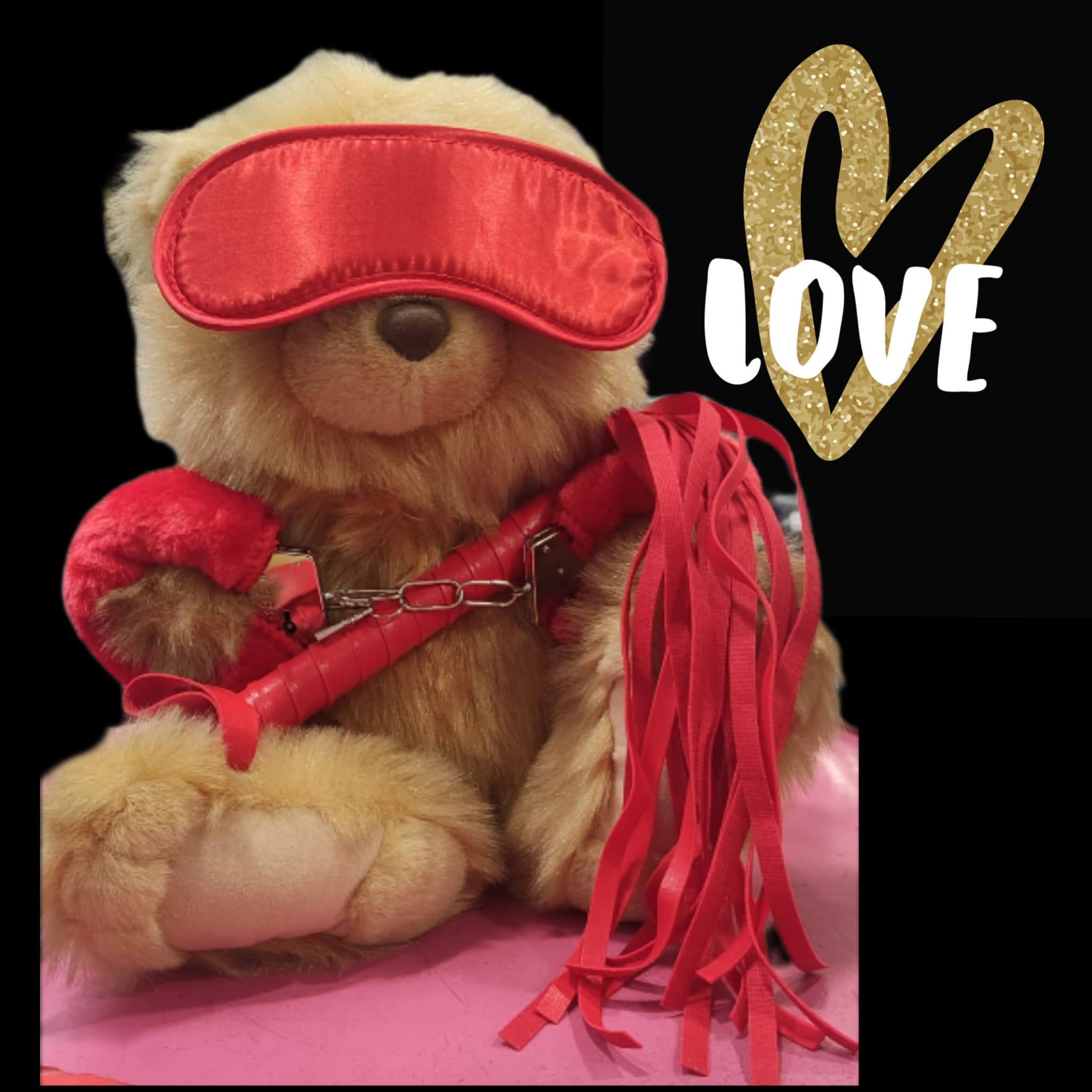 BDSM Teddy